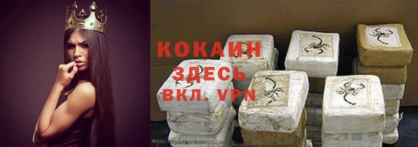дурь Арсеньев