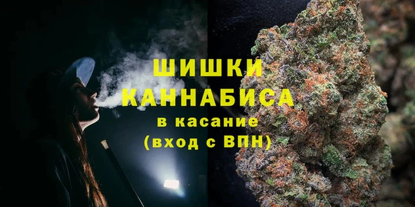 дурь Арсеньев
